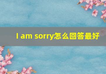 I am sorry怎么回答最好